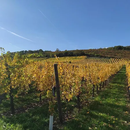 Du Florival Chalet Soultz-Haut-Rhin